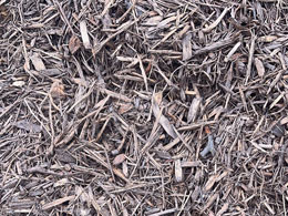 coco-brown-mulch1